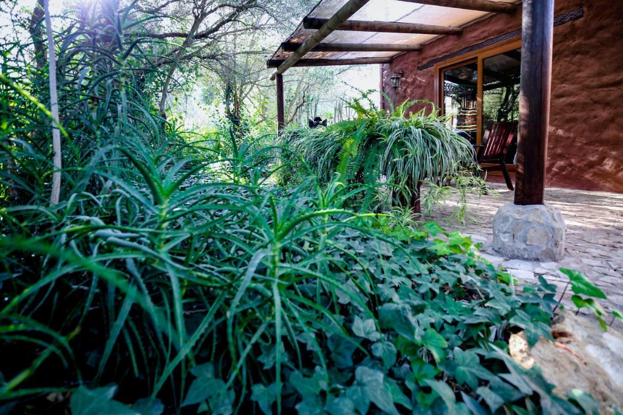 Tikal Boungalows Hotel Malcocinado  Exterior foto